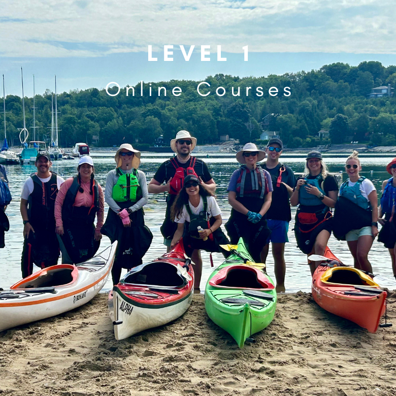 Online Courses - Level 1 Collection