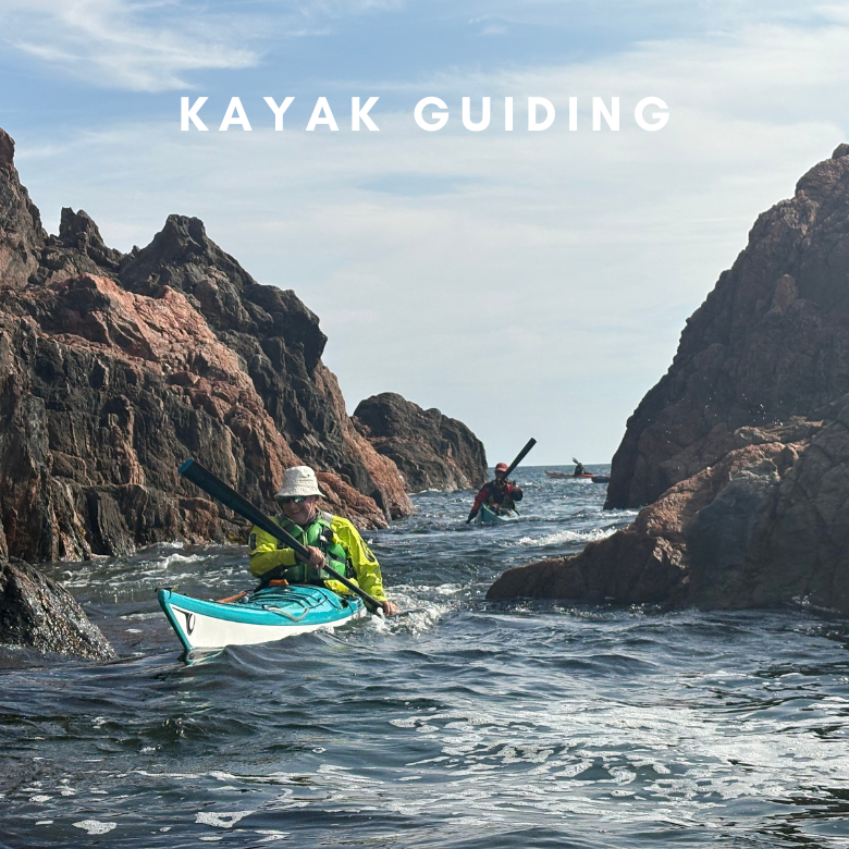 ORCKA Kayak Tripping and Guiding Courses