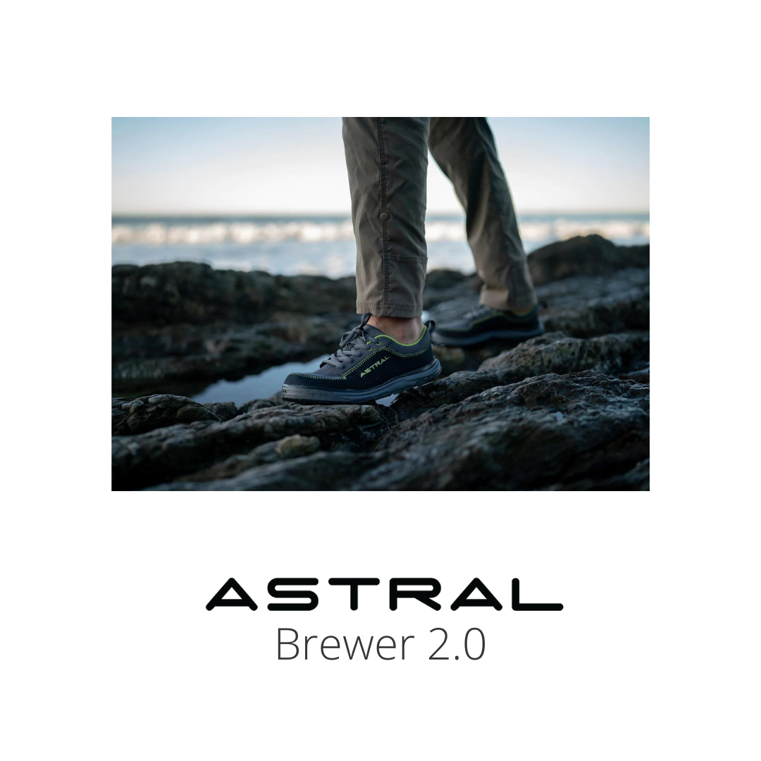 Brewer 2.0