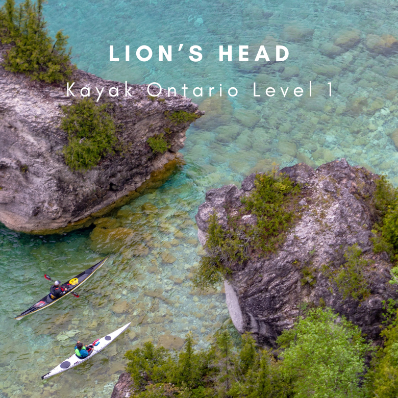 Lion's Head