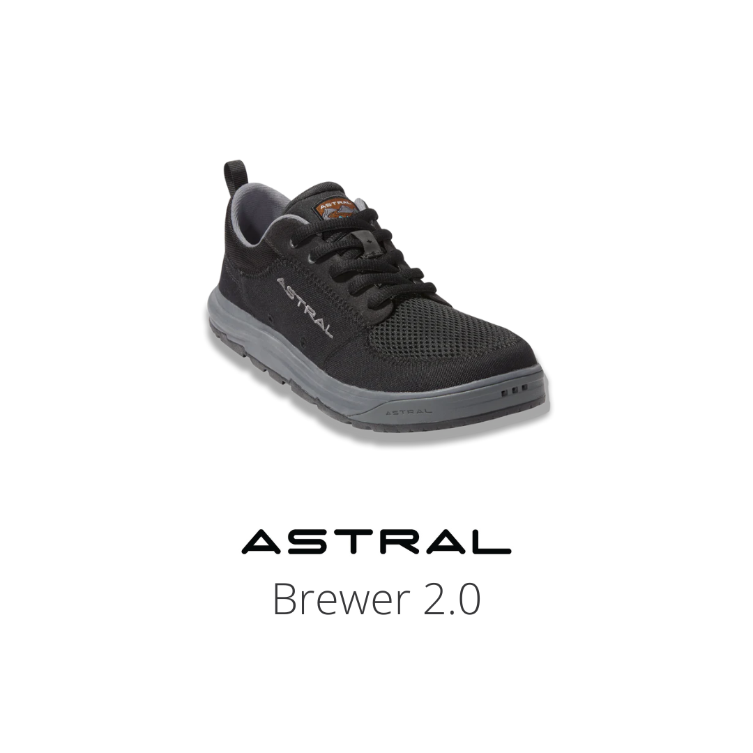 Brewer 2.0