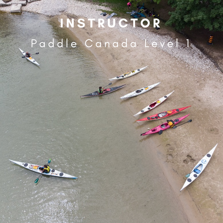 Level 1 Instructor