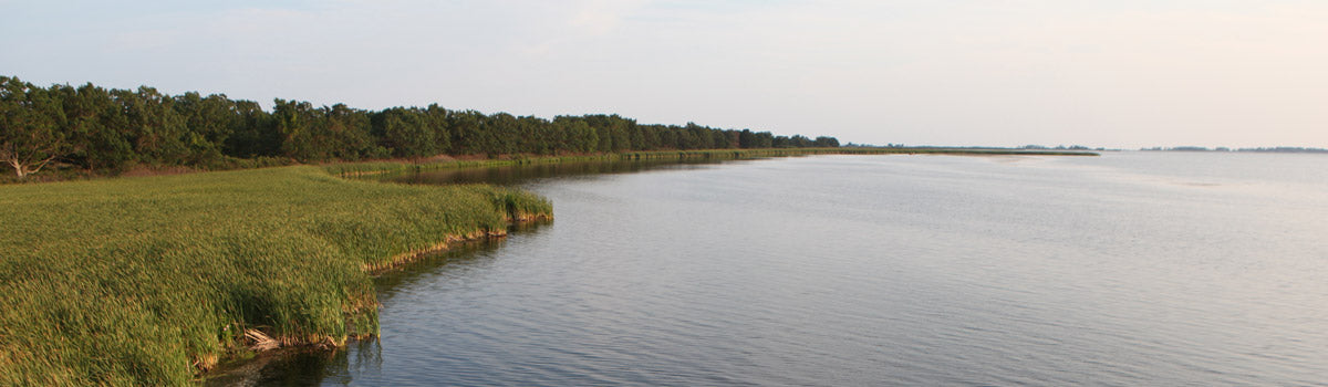 Rondeau, Chatham